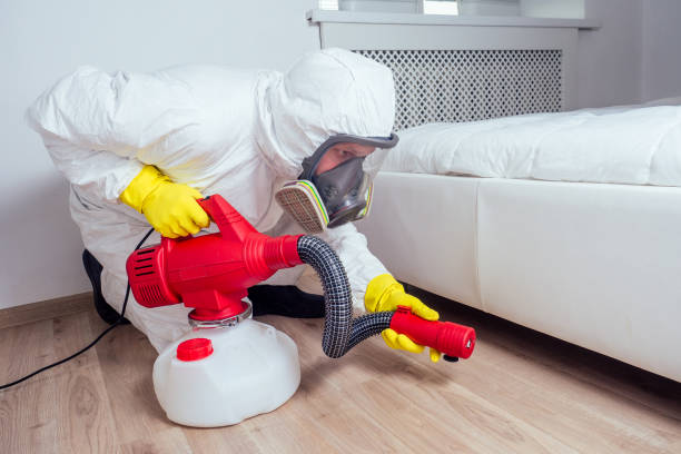 Best Bed Bug Extermination  in Rose, LA